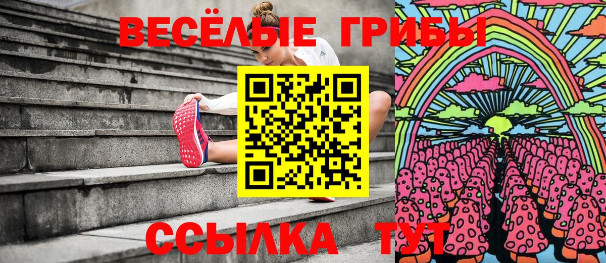 Астрахань  Псилоцибиновые грибы мухоморы  Вход с VPN  Псилоцибиновые грибы мухоморы 