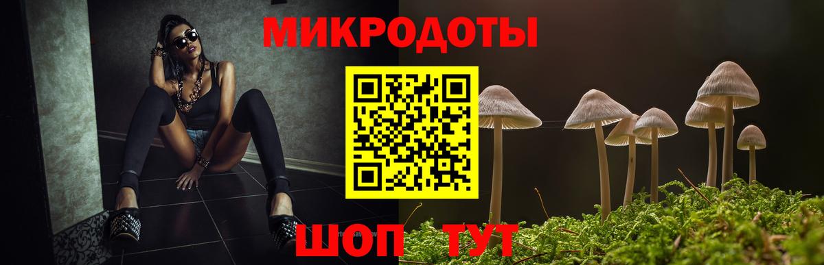 Галлюциногенные грибы Magic Shrooms Астрахань
